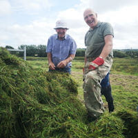 Gaia Trust Vols green hay Aug 2019 RHawley